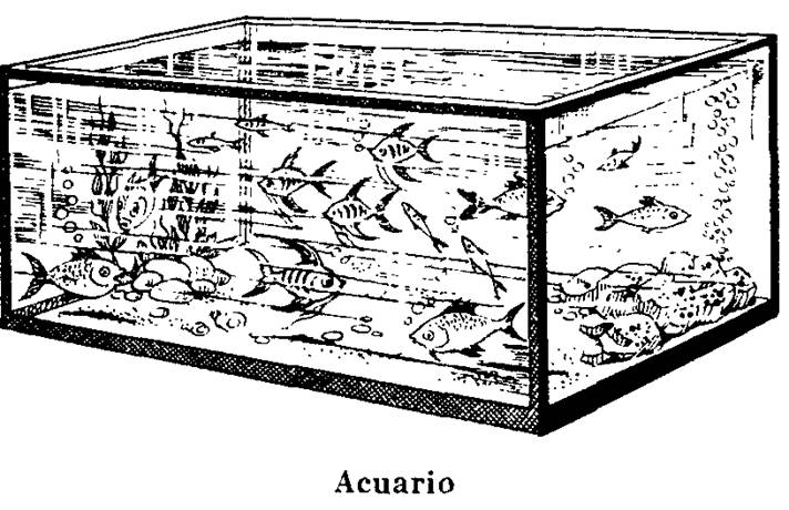Acuario