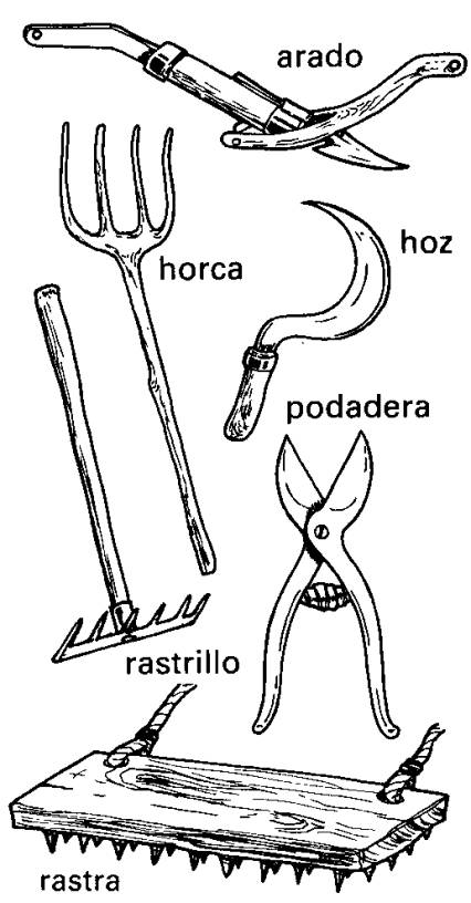 Agricultura -